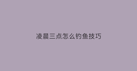 凌晨三点怎么钓鱼技巧(凌晨3点好钓鱼吗)