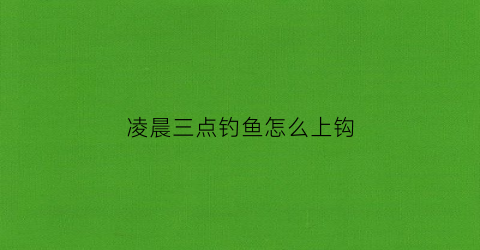 “凌晨三点钓鱼怎么上钩(凌晨三点钓鱼怎么上钩视频)
