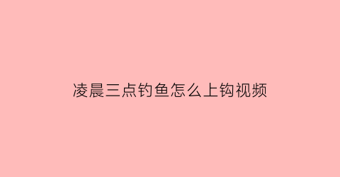 凌晨三点钓鱼怎么上钩视频(凌晨三点钓鱼怎么上钩视频讲解)