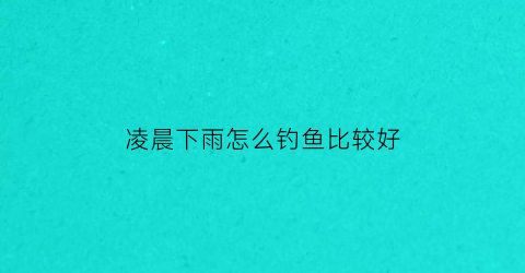 “凌晨下雨怎么钓鱼比较好(凌晨下雨怎么钓鱼比较好钓)