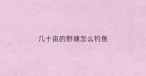 几十亩的野塘怎么钓鱼(10亩鱼塘能赚多少钱)