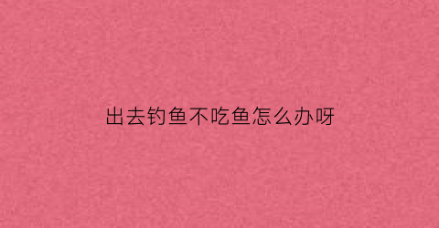 出去钓鱼不吃鱼怎么办呀(出去钓鱼不吃鱼怎么办呀)