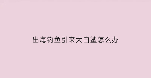 “出海钓鱼引来大白鲨怎么办(出海打鱼会遇到鲨鱼吗)