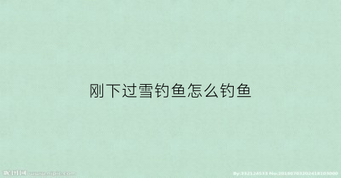 刚下过雪钓鱼怎么钓鱼