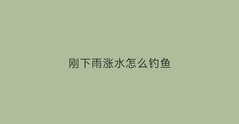 刚下雨涨水怎么钓鱼(刚下雨涨水怎么钓鱼最好)