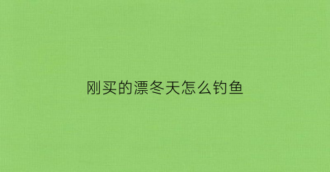 刚买的漂冬天怎么钓鱼(冬天怎么选鱼漂)