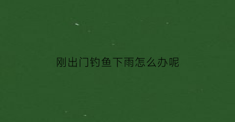 刚出门钓鱼下雨怎么办呢(刚下完阵雨钓鱼)