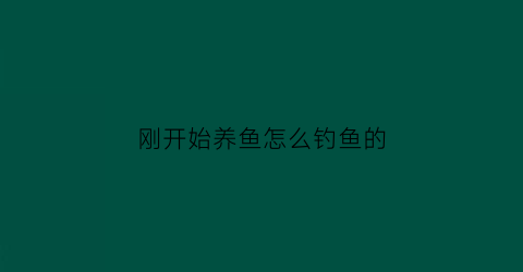 刚开始养鱼怎么钓鱼的(刚开始养鱼怎么钓鱼的视频)