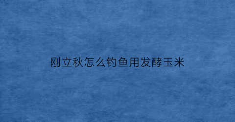 刚立秋怎么钓鱼用发酵玉米