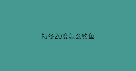 初冬20度怎么钓鱼(冬天20度钓鱼钓深还是钓浅)