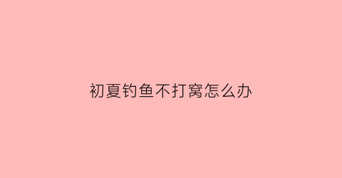 初夏钓鱼不打窝怎么办(初夏钓鱼不打窝怎么办视频)