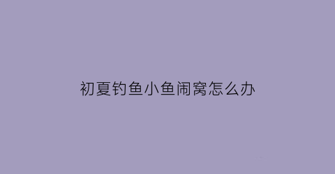 “初夏钓鱼小鱼闹窝怎么办(初夏钓鱼小鱼闹窝怎么办视频)