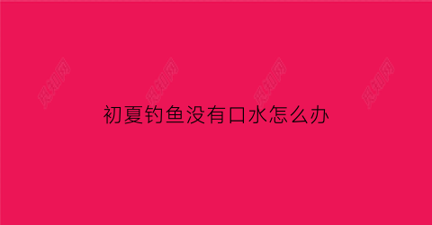 初夏钓鱼没有口水怎么办(初冬钓鱼没有口)
