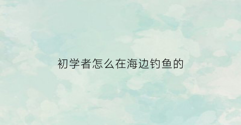 初学者怎么在海边钓鱼的(新手海边钓鱼视频教程)