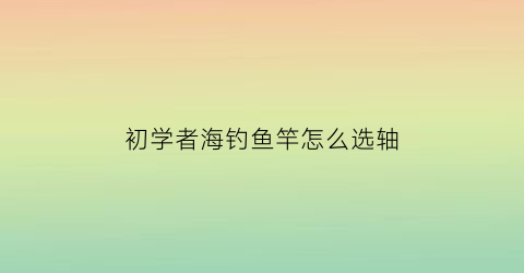 初学者海钓鱼竿怎么选轴(海钓竿轴是什么意思)