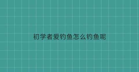 “初学者爱钓鱼怎么钓鱼呢(初学者爱钓鱼怎么钓鱼呢视频)