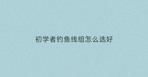 初学者钓鱼线组怎么选好(新手钓鱼线组)