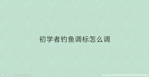 初学者钓鱼调标怎么调(钓鱼调漂的正确方法图技巧)