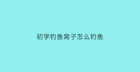 初学钓鱼窝子怎么钓鱼(钓鱼鱼窝怎么做)
