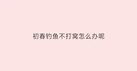 “初春钓鱼不打窝怎么办呢(初春钓鱼不打窝怎么办呢图片)