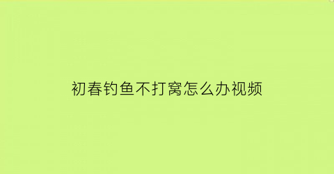 “初春钓鱼不打窝怎么办视频(钓鱼不打窝怎么钓)