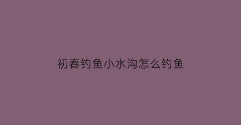 初春钓鱼小水沟怎么钓鱼(初春钓鱼小水沟怎么钓鱼的)
