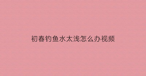 初春钓鱼水太浅怎么办视频(钓鱼水浅用什么钓法)
