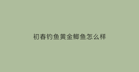 初春钓鱼黄金鲫鱼怎么样(钓黄金鲫鱼视频)
