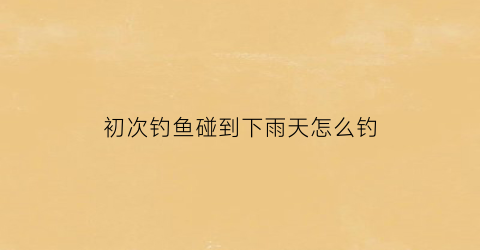 “初次钓鱼碰到下雨天怎么钓(钓鱼下雨怎么办)