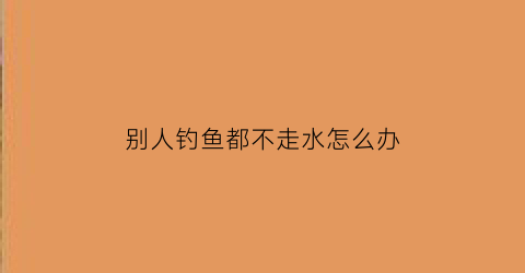 别人钓鱼都不走水怎么办(别人钓鱼我怎么钓不到)