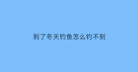 “到了冬天钓鱼怎么钓不到(冬天钓不到鱼怎么回事)