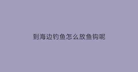 到海边钓鱼怎么放鱼钩呢(海边钓鱼怎么拴钩和坠)