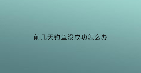 前几天钓鱼没成功怎么办(前几天钓鱼没成功怎么办呢)