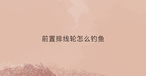 前置排线轮怎么钓鱼(前置线是什么意思)