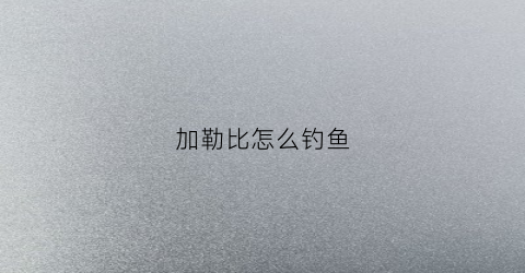 加勒比怎么钓鱼(加勒比怎么钓鱼的)