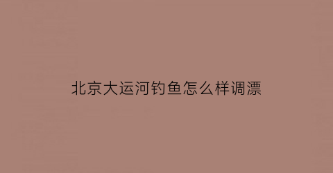 “北京大运河钓鱼怎么样调漂(大运河的鱼怎么钓)