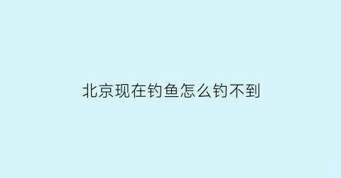 北京现在钓鱼怎么钓不到