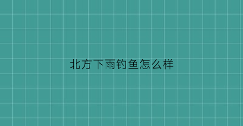 北方下雨钓鱼怎么样(北方下雨钓鱼怎么样好钓吗)