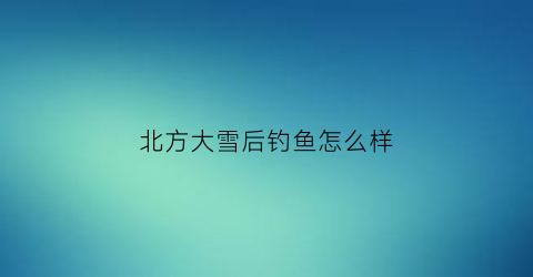 北方大雪后钓鱼怎么样(大雪后野钓鲫鱼)