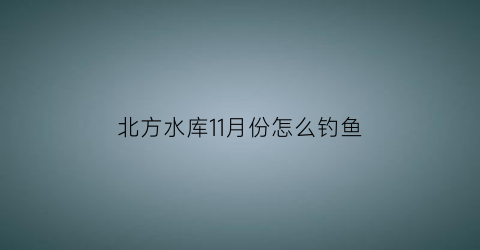 “北方水库11月份怎么钓鱼(北方11月钓鱼技巧)