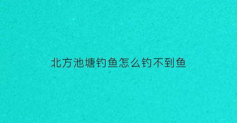 北方池塘钓鱼怎么钓不到鱼(北方池塘适合养什么鱼)