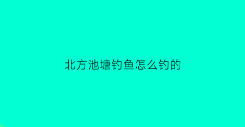 北方池塘钓鱼怎么钓的