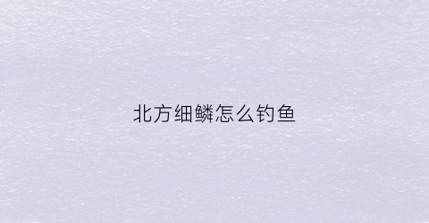 北方细鳞怎么钓鱼(细鳞鱼冬天可以钓吗)