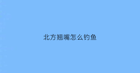 “北方翘嘴怎么钓鱼(北方翘嘴)