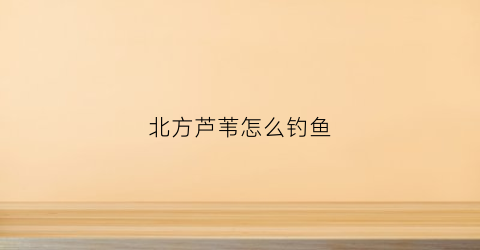 北方芦苇怎么钓鱼(如何在钓芦苇丛钓鱼)