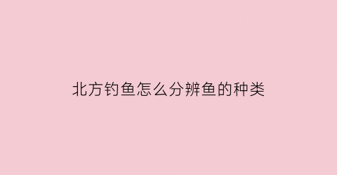 “北方钓鱼怎么分辨鱼的种类(北方钓鱼技巧)