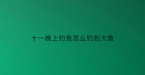 十一晚上钓鱼怎么钓到大鱼(十一夜钓多人未钓到为什么)