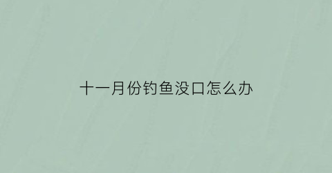 十一月份钓鱼没口怎么办(十一月野钓还能钓到鱼吗)