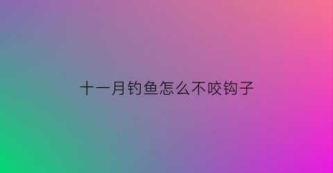 十一月钓鱼怎么不咬钩子(11月钓鱼)