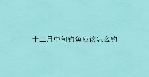 十二月中旬钓鱼应该怎么钓(十二月中旬钓鱼应该怎么钓好)